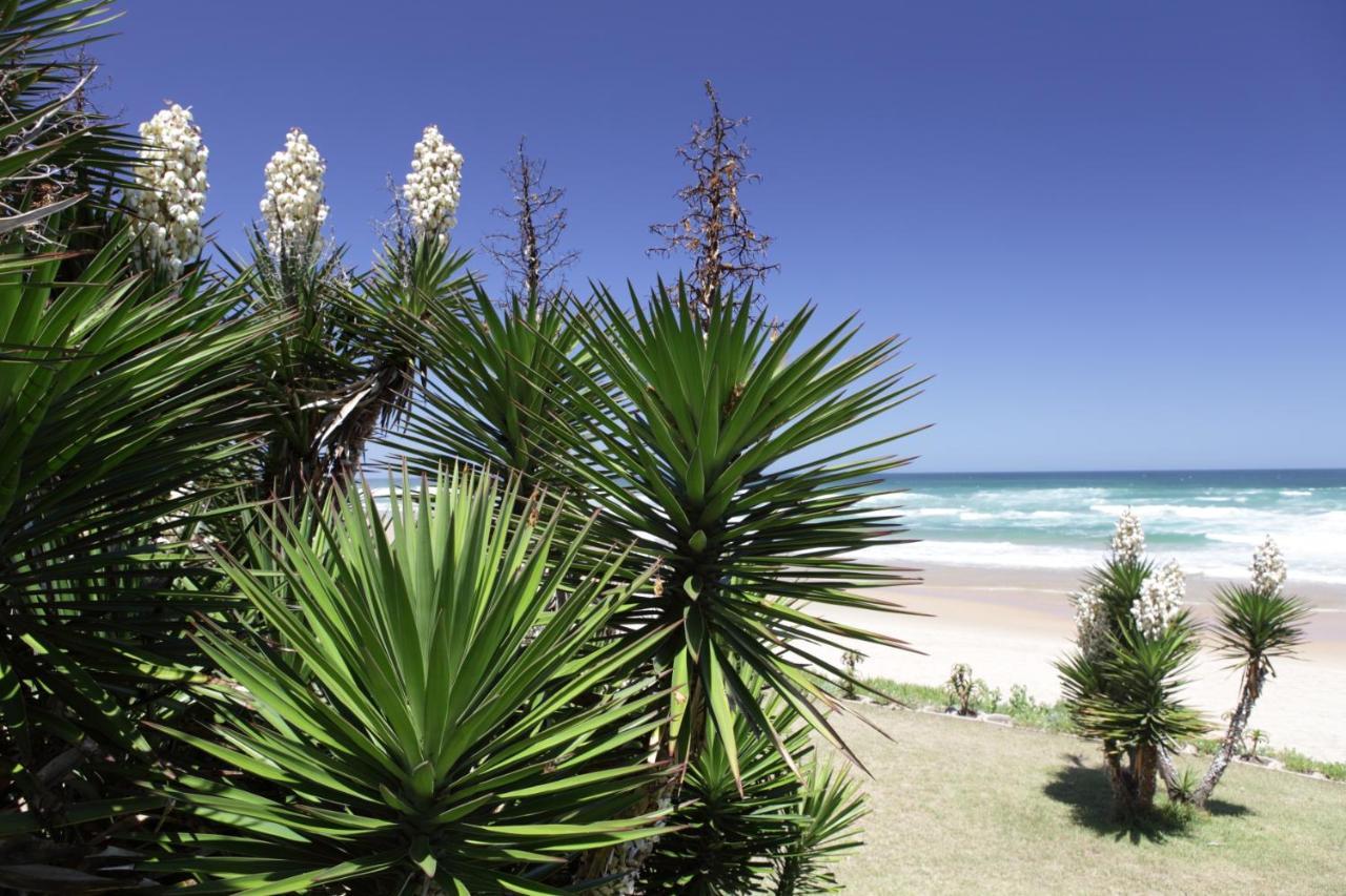 Haus Am Strand - On The Beach Wildernis Екстериор снимка